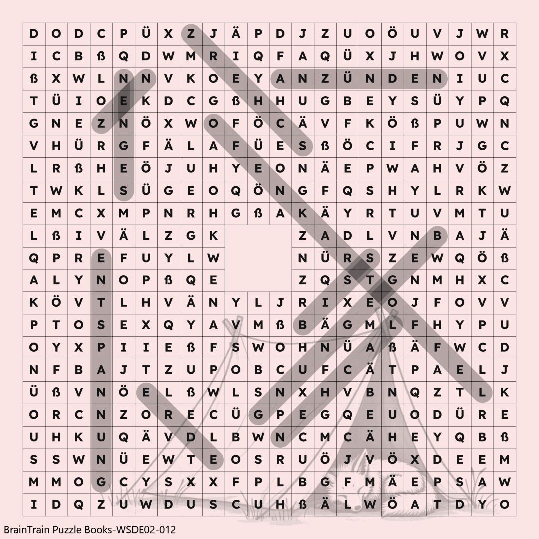 Puzzle Solution